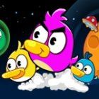 Angry Duck Space